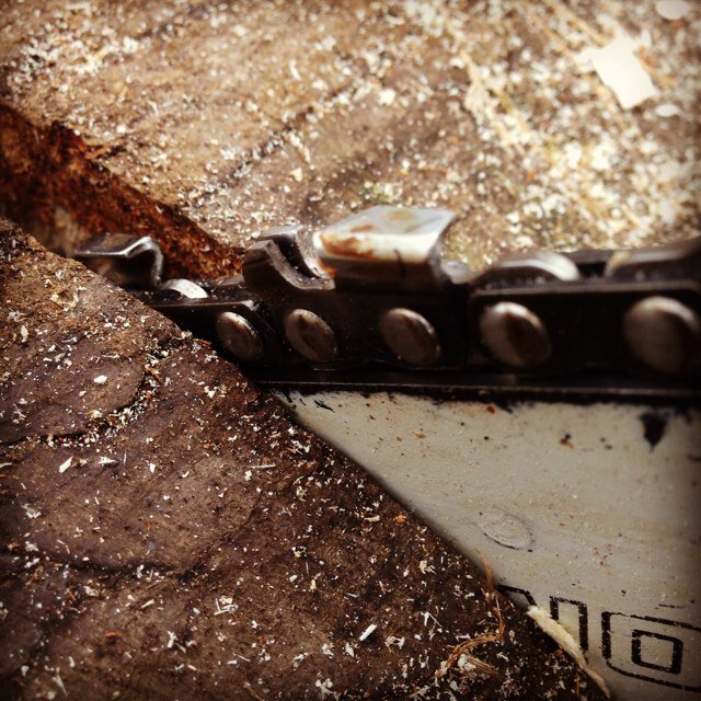 Adventuring & woodworking
