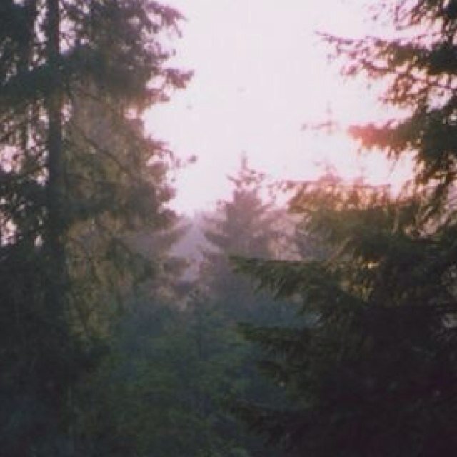 lost minds and wandering hearts