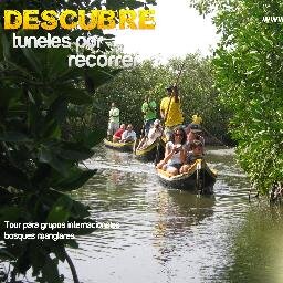 community based tourism experience, 

in cartagena de indias - colombia
typical tours made of wooden canoe into the ecosystem of mangrove