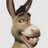 Burro