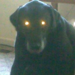 JK_Knowling's profile picture. 