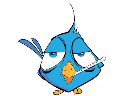 rtwrico's profile picture. Cuenta aliada: @eltweetrico // Usa nuestro hastagg para ganar seguidores! Le dare RT a todos los que usen el hastagg! #RTWRICO