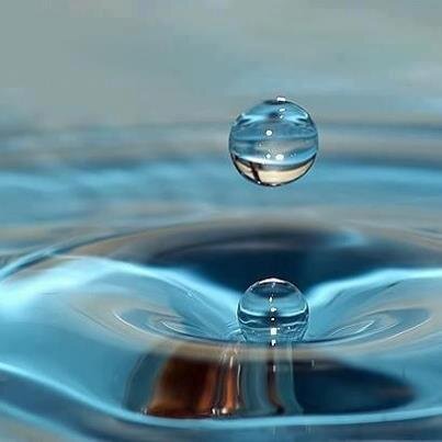 otttman30's profile picture. 