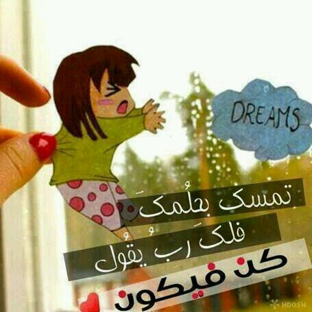 abbasalshamre2's profile picture. 