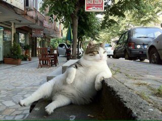 DWebster64's profile picture. 