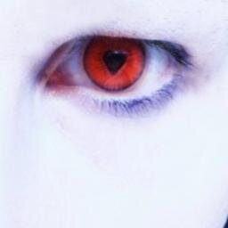 bru_lp19's profile picture. 