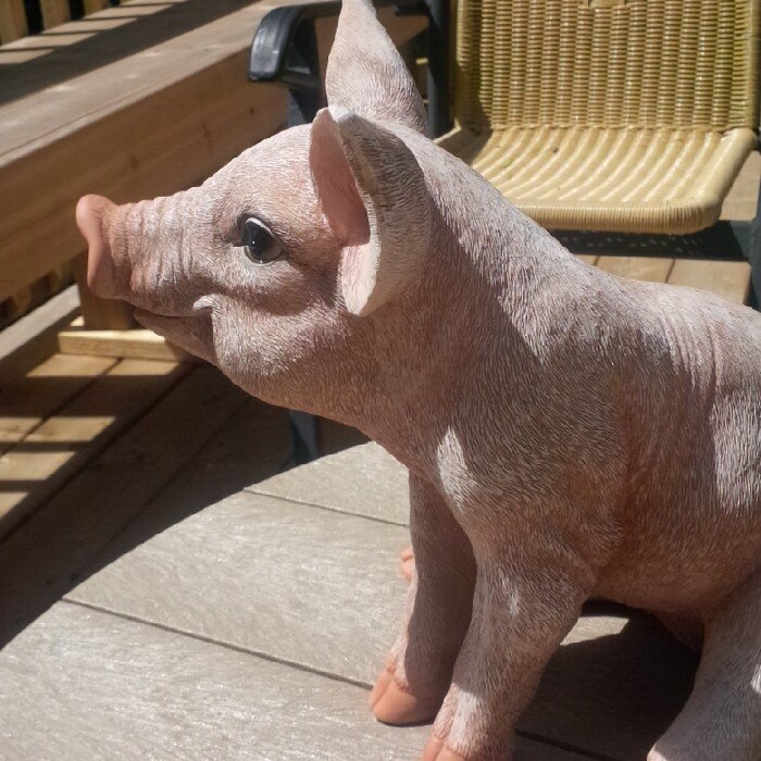 ponyma19's profile picture. 