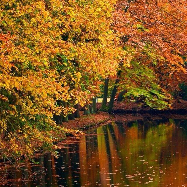 Of what you hear believe nothing. Of what you see believe half.