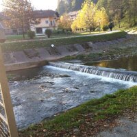 abuali1135 (@abuali1135) 's Twitter Profile