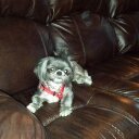 Anna Michaels - @Michaels7Anna - Twitter