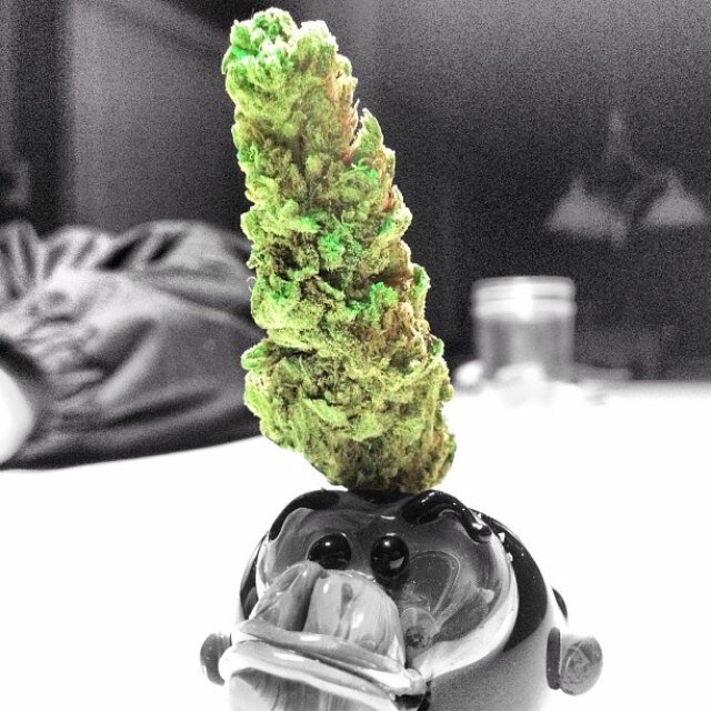 Mary Jane raised me. Never Dankrupt. ιℓℓą∂ɛℓ℘ɧ.ℓσνιи. #highphoneography for a possible feature. Appreciate every pod.