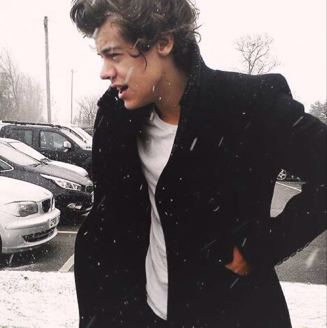 harry styles3