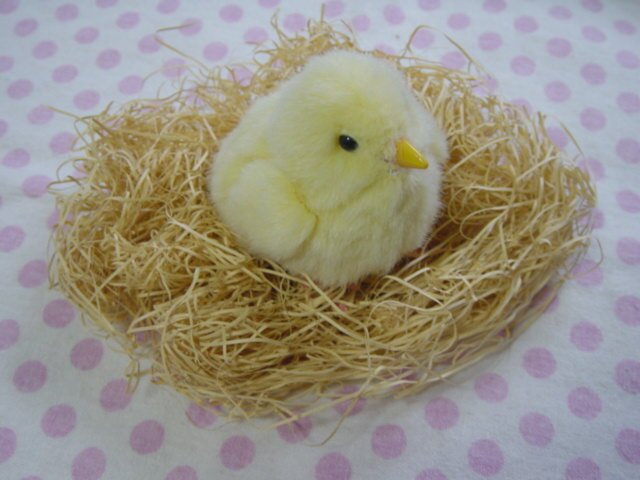 zvqmlhdc's profile picture. 