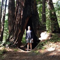 Andy Cloutman (@ivegotclout) 's Twitter Profile