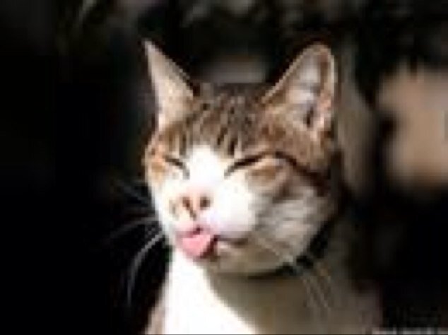 JackieHotmai Profile Picture