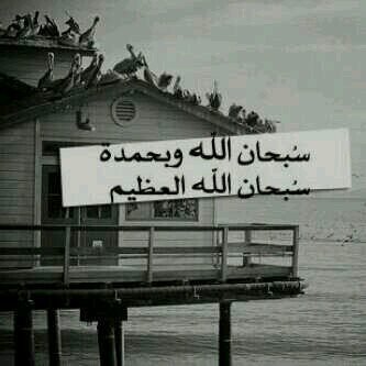 ‏۞﷽۞ ﴿إِنَّ اللَّهَ وَمَلَائِكَتَهُ يُصَلُّونَ عَلَى النَّبِيِّ يَا أَيُّهَا  الَّذِينَ آَمَنُوا صَلُّوا عَلَيْهِ وَسَلِّمُوا تَسْلِيمًا﴾ ﷺ