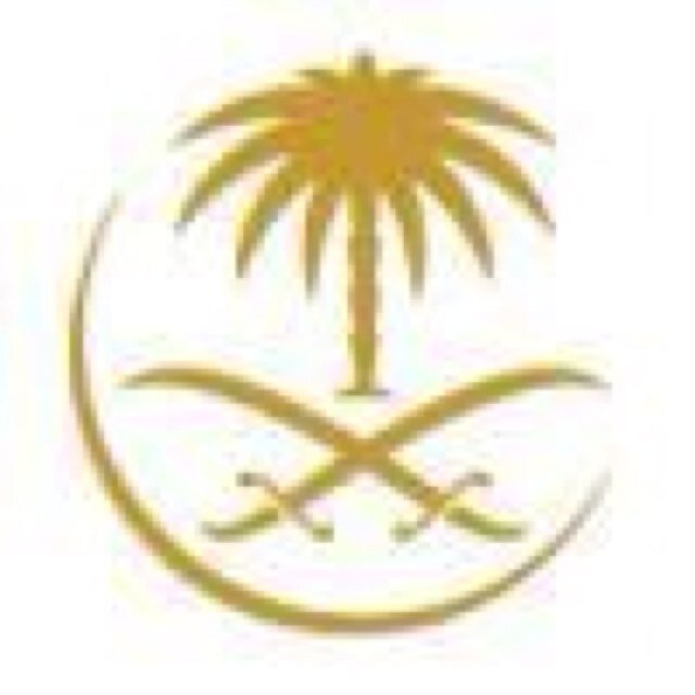 Pilot_Faisal's profile picture. 