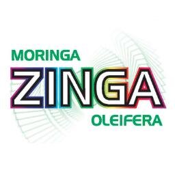 College students have discovered Moringa helps them study & keeps them alert for next day exams! Try this natural energizer today! FB & IG @MoringaZingaUSA