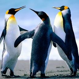 I know there is strength in the differences between us. I know there is comfort, where we overlap.