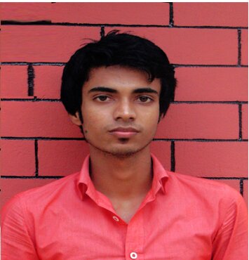 Web Designer