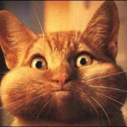 Being weird is a very special ability. Not all can have it. A day without laughter is a day wasted.