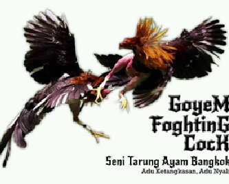 tukang kukulutus nyampe modar.......