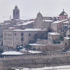 Cerverí i Científic