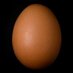 Finlo Rohrer (@finlorohrer) Twitter profile photo Finlo Rohrer (@finlorohrer) Twitter profile photo