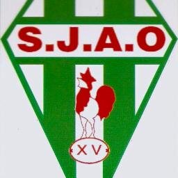 L'Ecole de Rugby de Saint Juéry Arthès depuis 1907.         Jouer c'est bien, avec les copains c'est mieux!