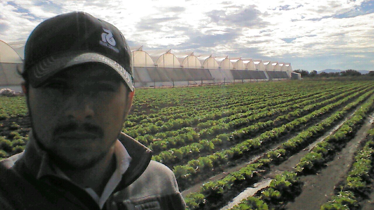 .AgroCoach-ing empresarial. =agricultura permanente para el bajio= intebaj =