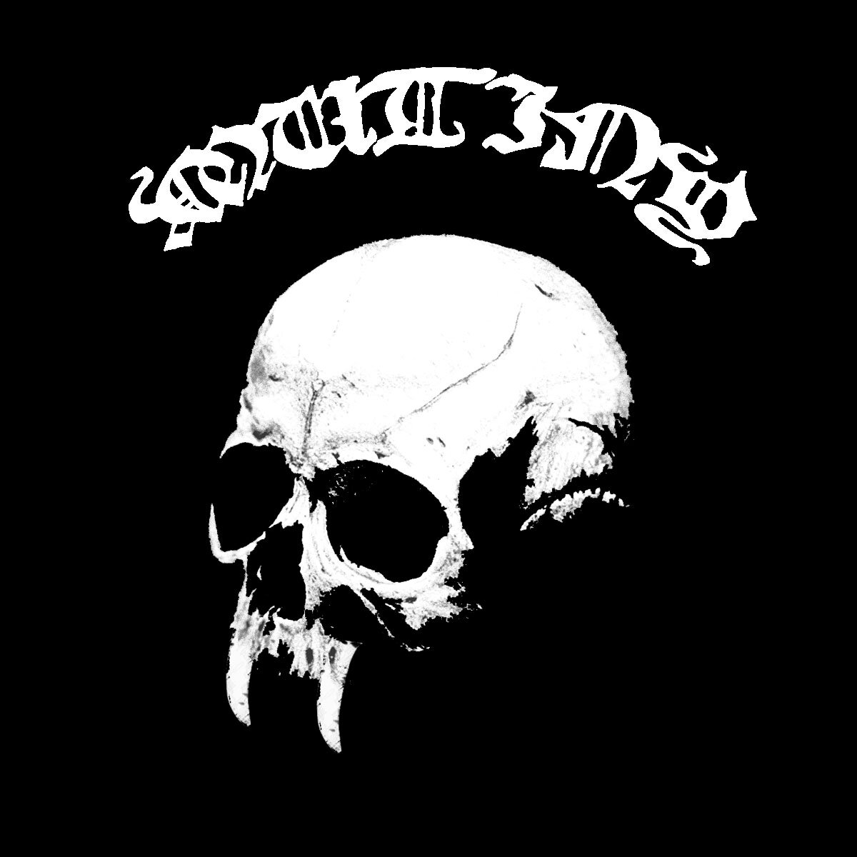 Black/Death/Thrash band from Bosnia