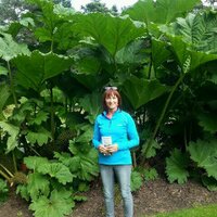 Alison Mann (@alisonmann10) 's Twitter Profile Photo