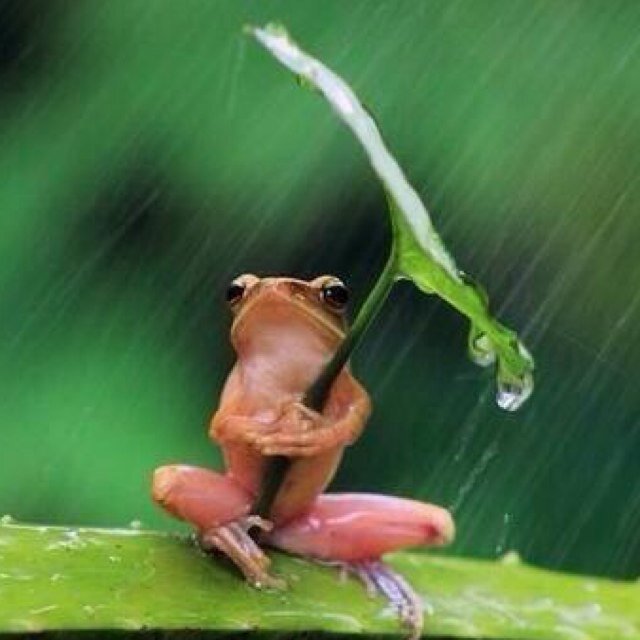 Glennderdale's profile picture. * Love my Shiny Romy! * Je moet je haasten als je tijd hebt. Dan heb je tijd als je haast hebt ;)