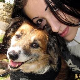 SarahVerdino's profile picture. Attached to life support apparatus, consisting of two felines and a canine. In a near constant state of existential crisis. Edit: A human joined the pack.