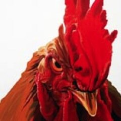 Creamos ilustraciones maravillosas para prendas de vestir únicas y muy originales.