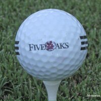 Five Oaks Golf & CC(@fiveoaksgcc) 's Twitter Profile Photo