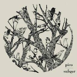 Acoustic quartet of guitars, violin and cello, playing modern composition inspired by post-rock, classical and jazz