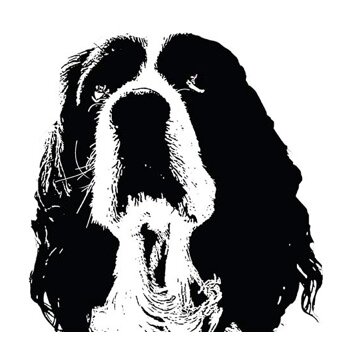 A boutique dog photography business with locations in West Los Angeles and West London. http://t.co/TzvrA9x3h7