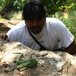 A Wildlife Biologist, Trekker, Adventure freak, Social Entrepreneur, Cricket, proud INDIAN, love Cooking, Foodie & a NOMAD by HEART & MIND..!