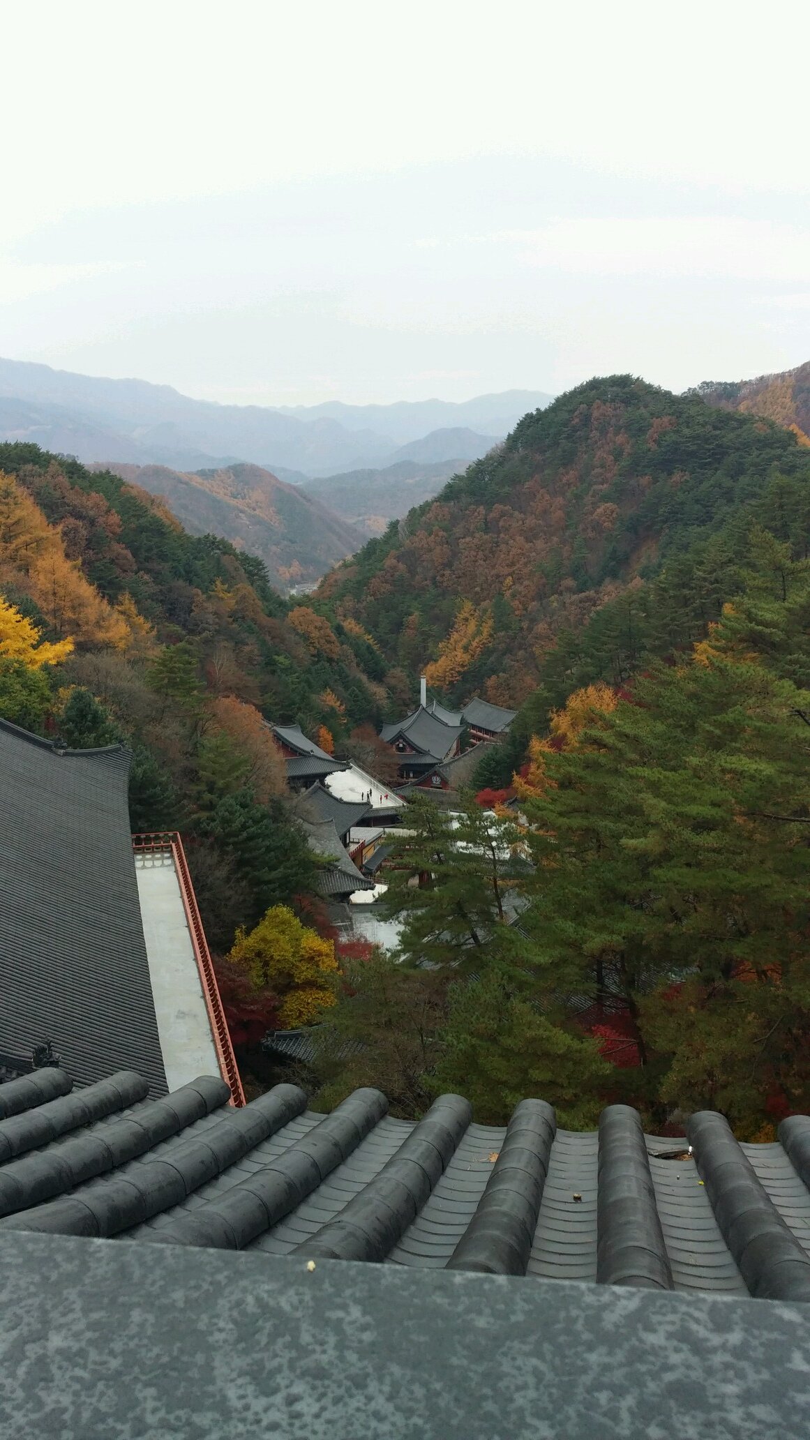 무릎을 다쳐 등산도 못하고 골프와 책읽기에 열중하려고 마음만 먹으며, 중학교 1학년, 초등학교 4학년, 두 아들과 마느님과 함께 살고 있습니다.
