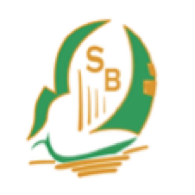 StBrendansPS Profile Picture