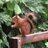 Image de profil de henneuse6