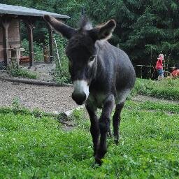 Willkommen im Tal der Ahnungslosen