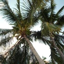 Social Group Florida Holidays @SG_Florida @SGUSAHolidays @SG_Cruises @SG_Caribbean @SnorkelHolidays @SG_Holidays #USA Group Holidays to #Florida USA