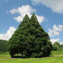 ¥¥¥¥¥ (@05085991) Twitter