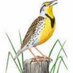 Louisiana Research (@la_research) Twitter profile photo