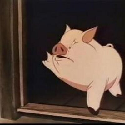 Squealer (savanna h) (@Squealer_AF) / Twitter Squealer (savanna h) (@Squealer_AF) / Twitter