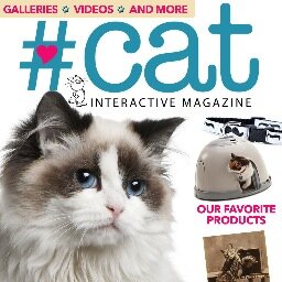 HashtagCatMag Profile Picture