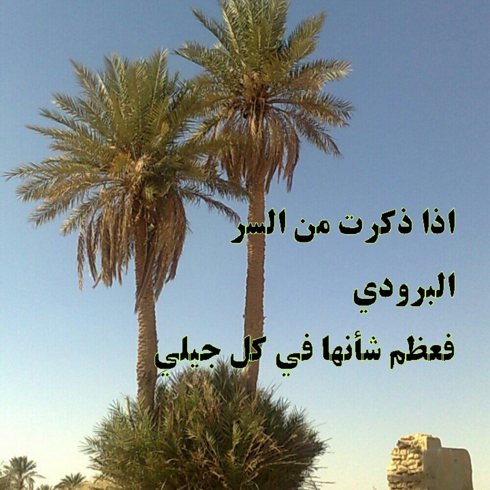 ‏‏‏‏‏‏‏‏‏‏‏‏‏‏‏‏‏‏‏‏‏‏‏‏‏‏‏‏‏‏‏‏لاتكسرالخاطراللي ماانجبركسره🌷خله ترى حالته ياصاحبي حاله


يمكن يجي يوم يدفن عسره بيسره🌹ويمكن يورث كسوره لاصغرعياله