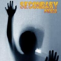 Secondary Merch (@secondarymerch) 's Twitter Profile Photo
